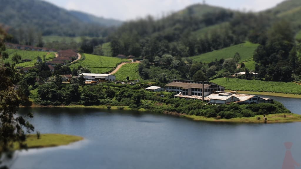 a lake surrounded by tea plantations and hills