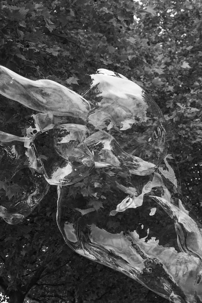 black-and-white close-up of ice crystals on a frozen surface