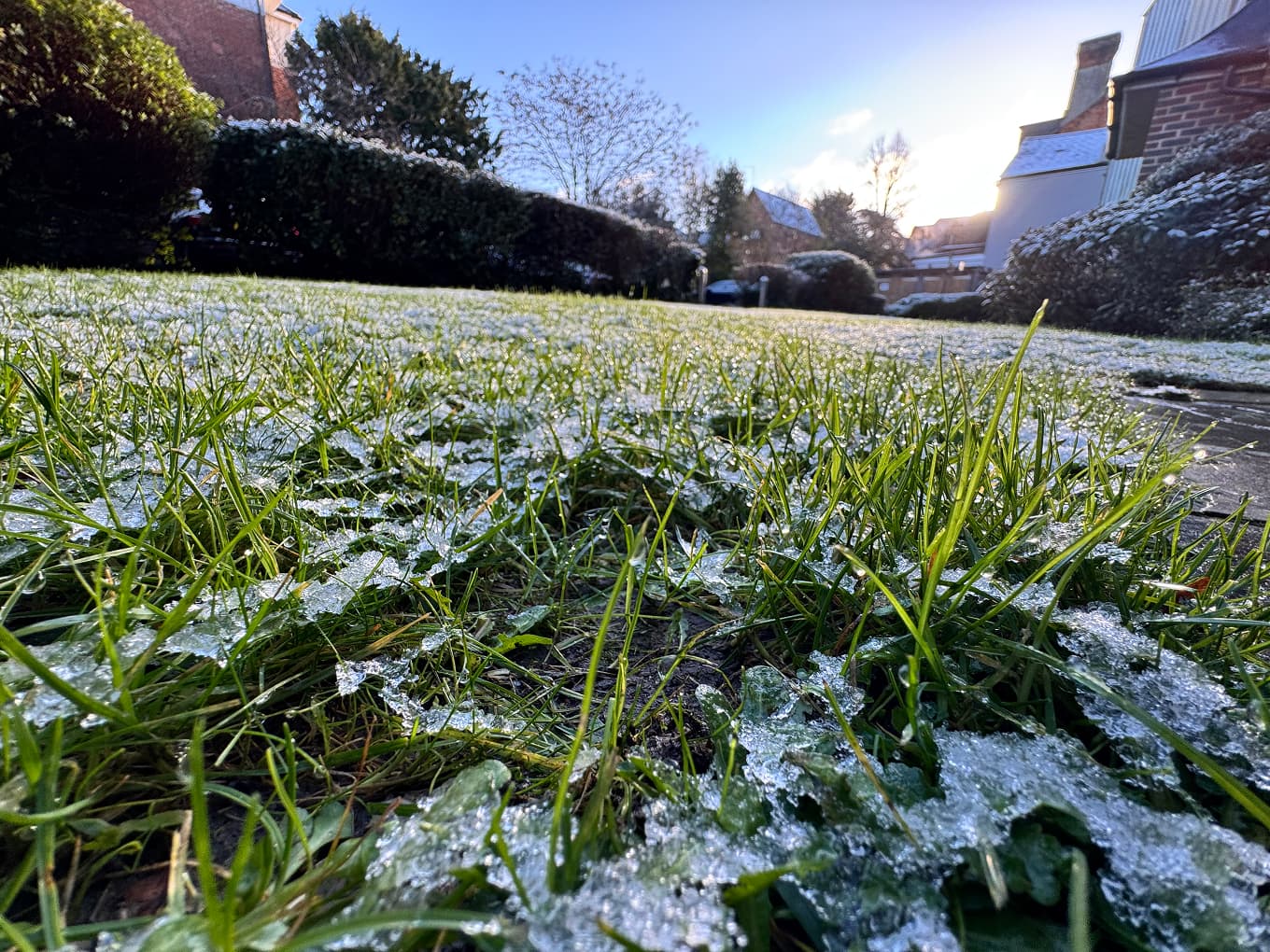 frost-covered grass at ground level with a low winter sun