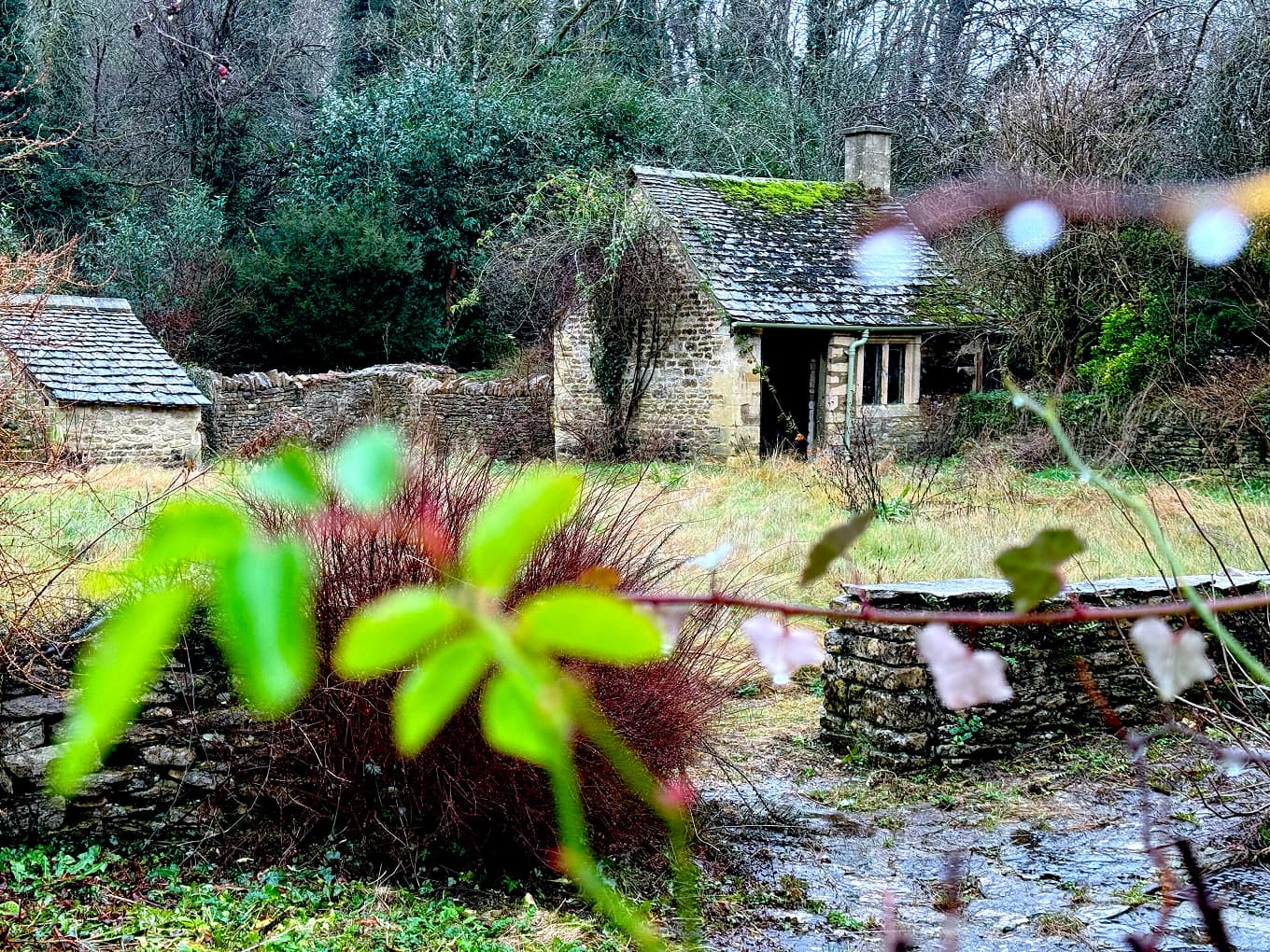 old stone cottages beside a stream, seen through leaves
